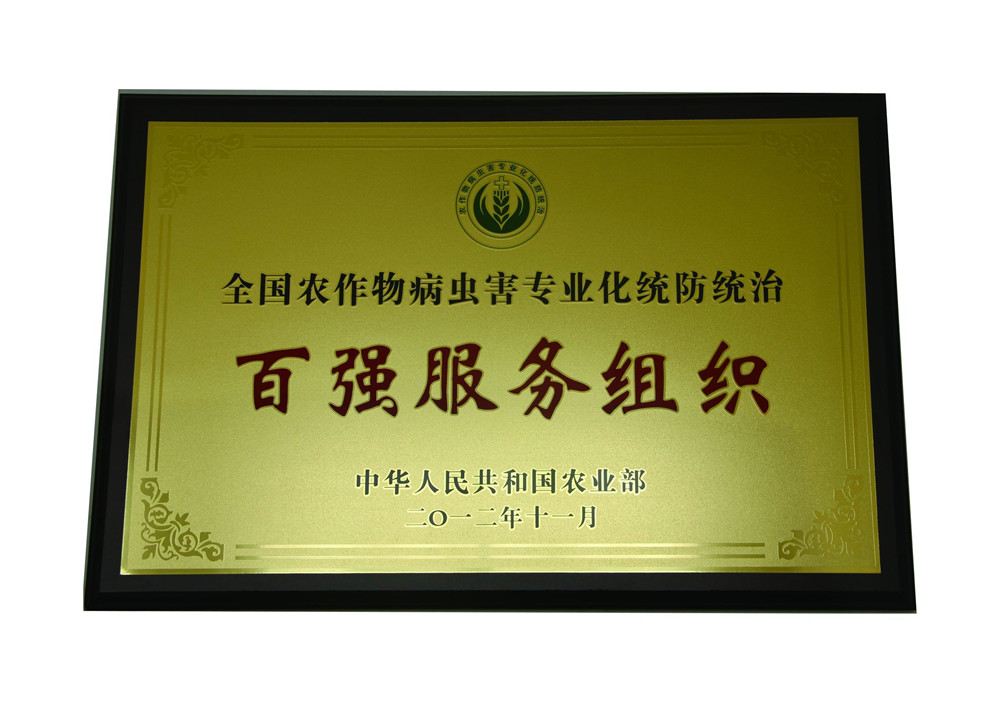 榮譽(yù)證書(shū)